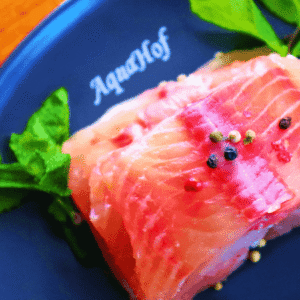 Wels Filet